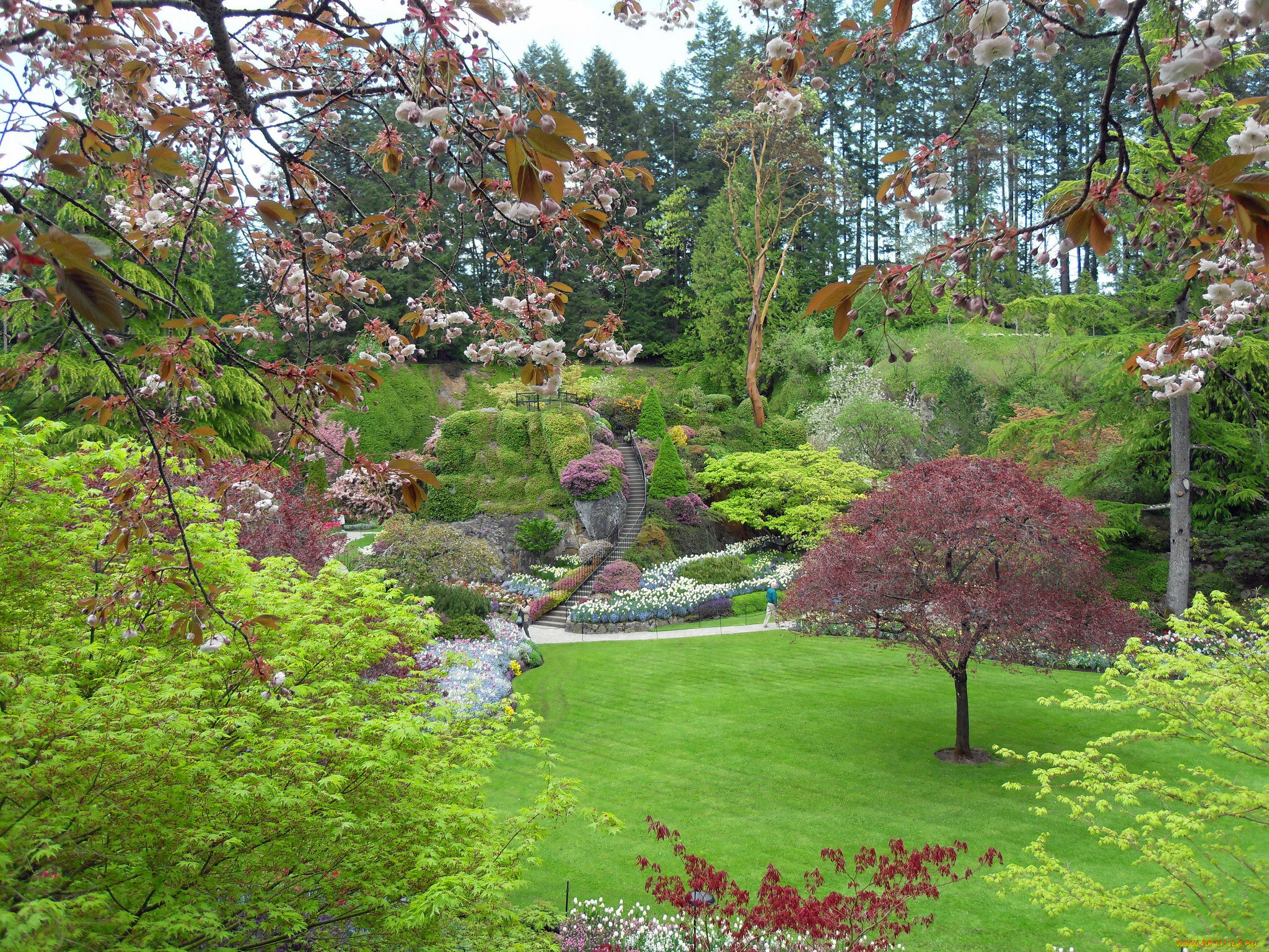 butchart, gardens, victoria, , , , 